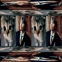 a man in a suit and tie is surrounded by a cat