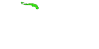 a cartoon drawing of a green liquid splash