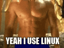 a shirtless man says " yeah i use linux "