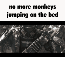 This monkey knows its angles, GIF