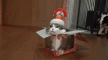 Disguise Cat GIF - Disguise Cat Box GIFs