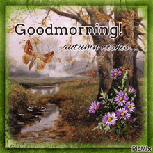 a picture of a stream with flowers and a butterfly that says " good morning autumn wishes "