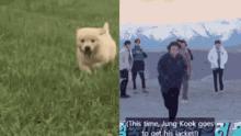 Kkyukirby Jungkook GIF - Kkyukirby Jungkook Dog GIFs