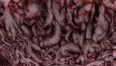 a computer generated image of a pile of bloody tissue