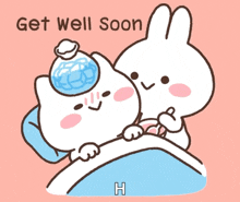 a cartoon of a cat and a rabbit with the words " get well soon " above them