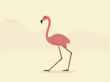 Pink Flamingo GIF - Pink Flamingo Walking GIFs