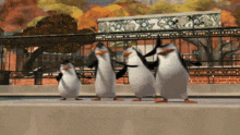 Penguins Of Madagascar Karate Penguin GIF