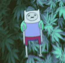 Adventure Time Marijuana GIF - Adventure Time Marijuana Finn GIFs