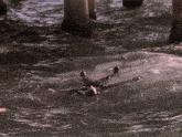 a person in a wet suit is swimming in the ocean