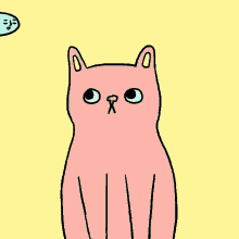 Animated Cat Toy GIFs | Tenor