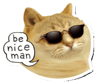 Catcoin Cat Memes Sticker - Catcoin Cat Memes Cat Meme Stickers