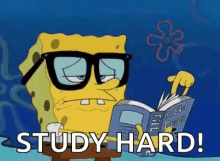Nerd Sponge Bob GIF - Nerd Sponge Bob Studying GIFs