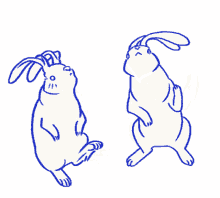 rabbit white rabbit head bang dance air guitar