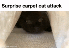 a black cat is hiding under a white blanket and looking at the camera .