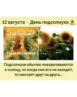 a picture of sunflowers with the date 12 abryma