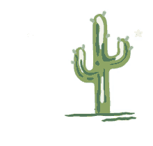 cactus back