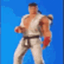 Ryu Fortnite GIF - Ryu Fortnite GIFs