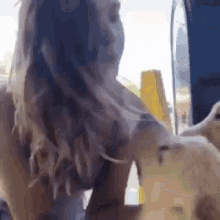Alisa Jenks Dog GIF - Alisa Jenks Dog Puppy GIFs