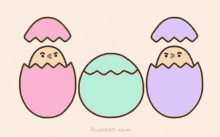 huevos pollito