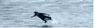 a blurry picture of a person ice skating on a rink