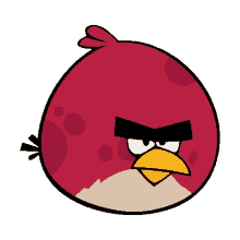 terence angry birds
