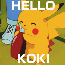 Koki Hello Koki GIF