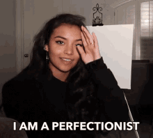 I Am A Perfectionist Perfect GIF - I Am A Perfectionist Perfect Expert GIFs