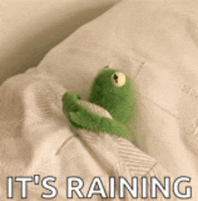 a kermit the frog is laying on a bed with the words it 's raining written on the bottom