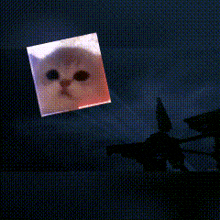 a picture of a cat being projected on a wall