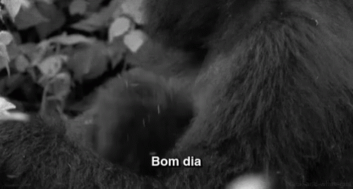 Gorila Bom Dia GIF - Acordei Bomdia Manha - Discover & Share GIFs