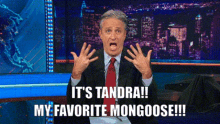 Tandra Mongoose Fangirling GIF - Tandra Mongoose Fangirling GIFs