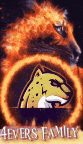 a cheetah is surrounded by flames and the words 4evers family
