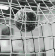 Saint Etienne Handball Allez Les Verts GIF