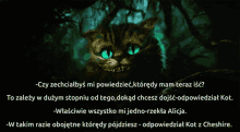 Cheshire Cat Alice In Wonderland GIF - Cheshire Cat Alice In Wonderland Kot I Alicja GIFs