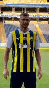 Dzeko Fenerbahçe GIF