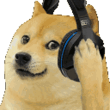 doge headphones