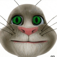 a close up of a cat 's face with green eyes and a pink nose