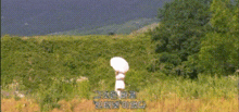 a person in a white dress is walking through a field with trees in the background