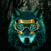a picture of a wolf wearing goggles with the word scuba on it