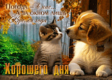 a puppy and a kitten are looking at each other on a postcard