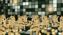 Doge Party GIF - Doge Party GIFs
