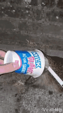 Hedge Stuck GIF - Hedge Stuck Hedge In A Cup GIFs