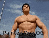 Painted Dog Oc GIF - Painted Dog Oc GIFs