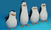 Pingvins GIF - Pingvins GIFs