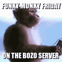 Funky Monkey Friday Bozo GIF