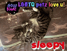 a cat is laying on its back with the words good night lgbtq petz love u sleepy below it