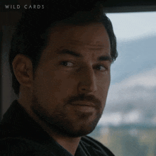 I Have No Idea What You Just Said Cole Ellis GIF - I Have No Idea What You Just Said Cole Ellis Wild Cards GIFs