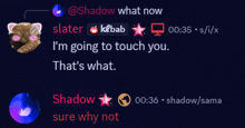 a screenshot of a chat between shadow and kebab