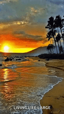 Sea Sunset GIF - Sea Sunset Beach GIFs
