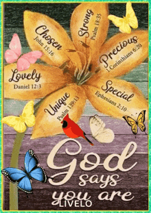 a poster that says god says you are with butterflies and flowers